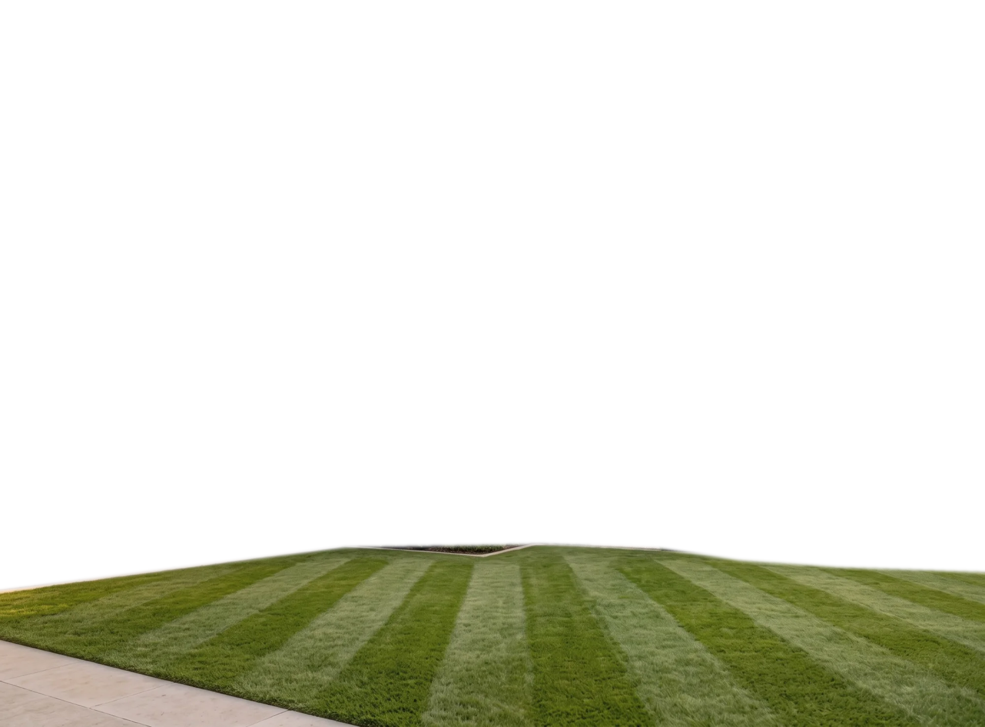 A freshly mowed striped lawn in front of a concrete garden wall, olive trees and clipped shrubs at golden hour